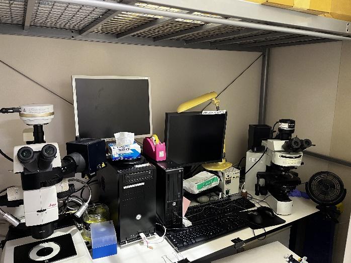 蛍光顕微鏡および蛍光実体顕微鏡実験室